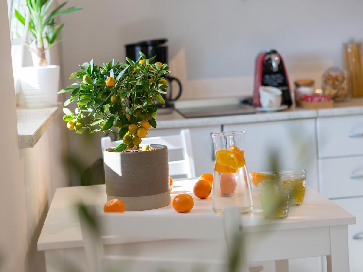 Dream Istria Holiday โปเรช ภายนอก รูปภาพ